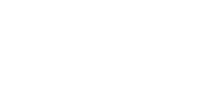 vsgi-logo-white