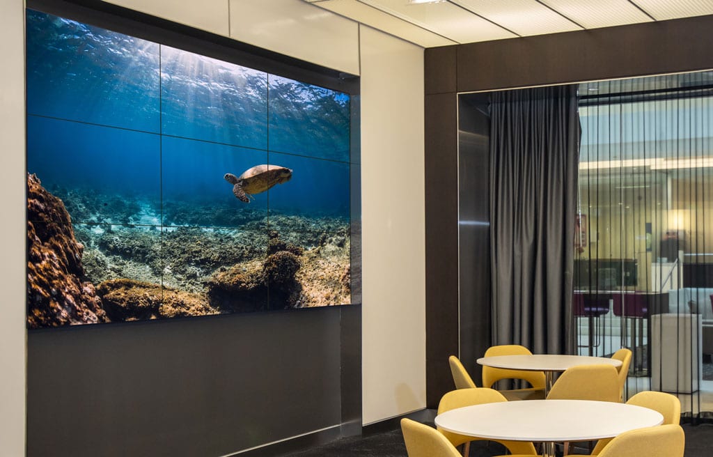 Video wall in a common area showing a sea turtle.
